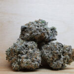 Green Valley's AAAA+ Malibu Marker