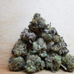 Bulk-Sale GV's AAAA Rainbow Chip Smalls