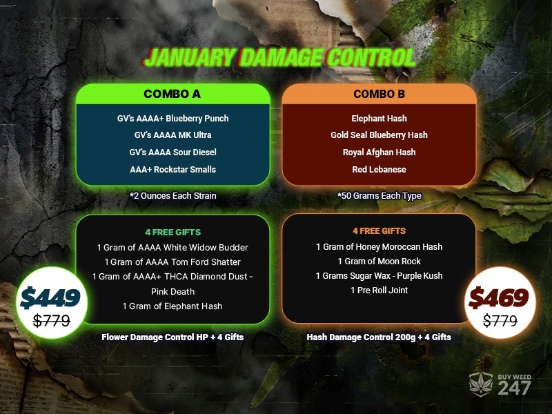 Buy Weed 247 vs. Cannablossom: What&rsquo;s the best MOM in Canada?, BuyWeed247