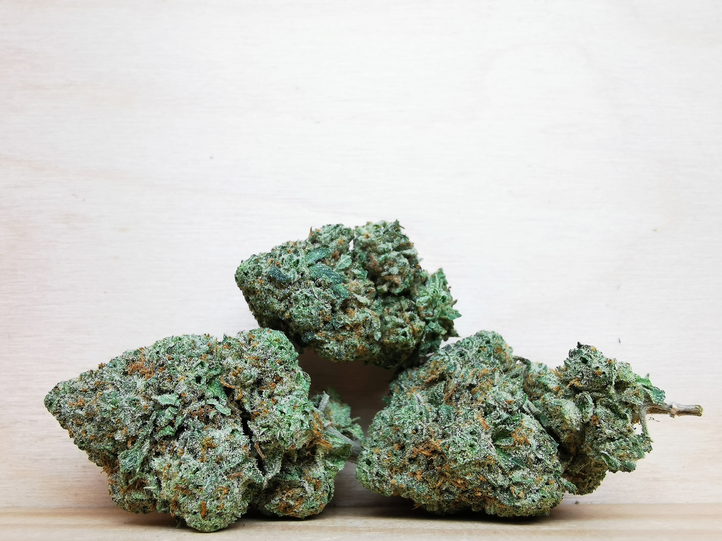 IMG_20260119_141833 AAA+ Critical Mass - Image 1