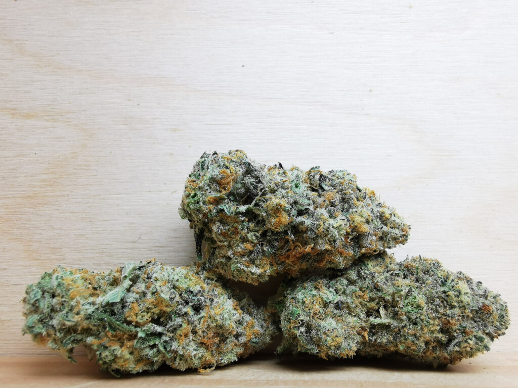 Buy Weed 247 vs. Cannablossom: What&rsquo;s the best MOM in Canada?, BuyWeed247