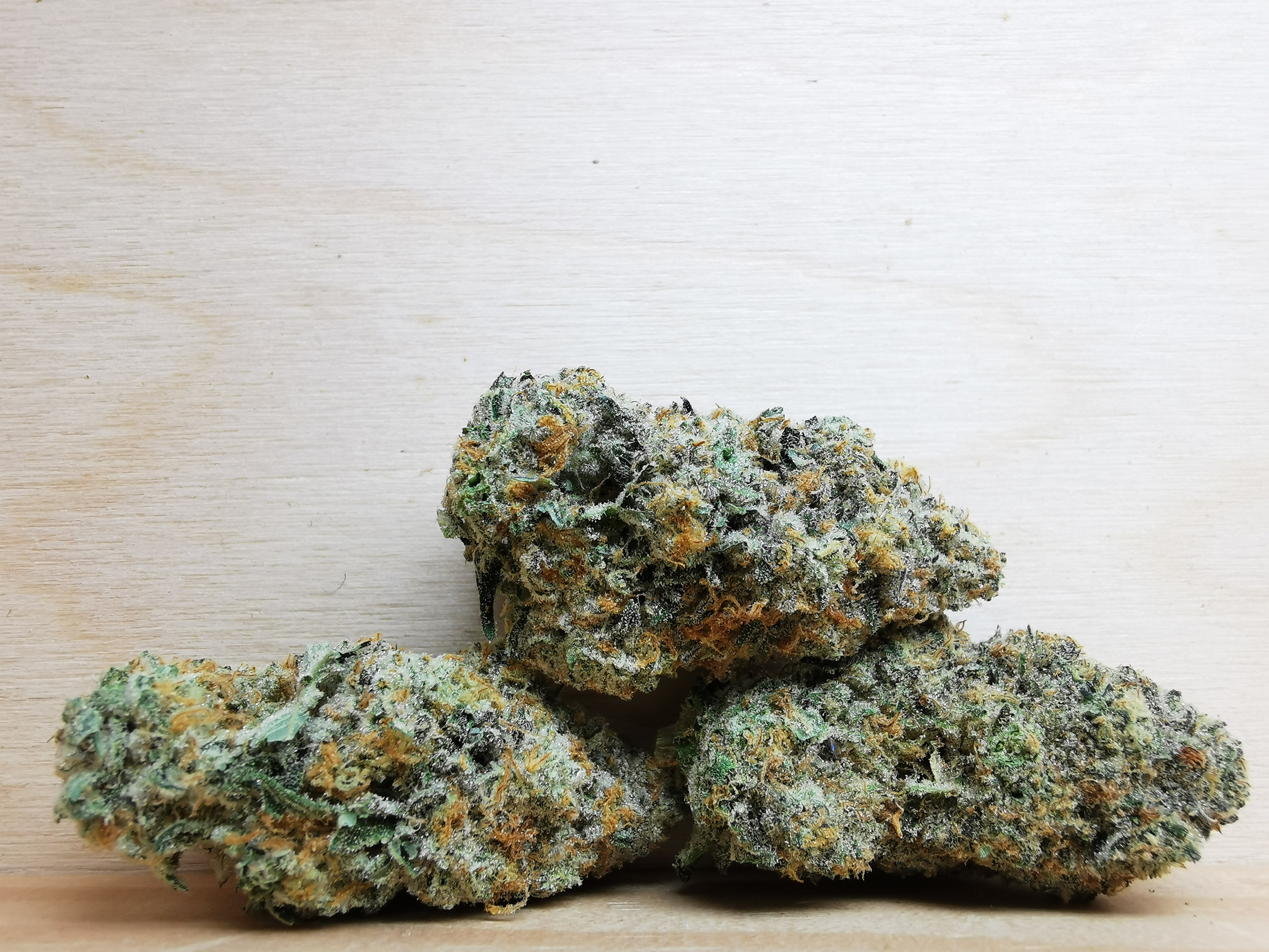 IMG_20260121_115621 Bulk-Sale GV's AAAA Jealousy - Image 1