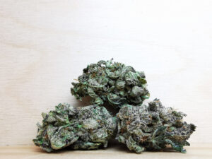 Best Sativa Weed Strains in Canada 2021, BuyWeed247