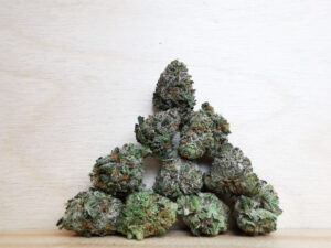 Best Sativa Weed Strains in Canada 2021, BuyWeed247