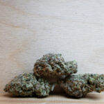 Green Valley's AAAA MAC#1 Med.