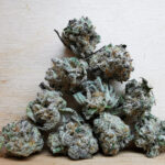 Green Valley's AAAA+ Durban Poison Smalls