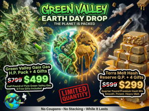 Top 6 Weed Strains in Canada 2021, BuyWeed247