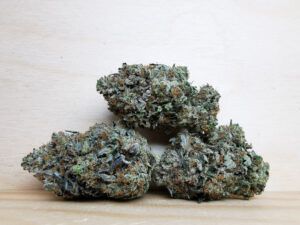 Best Sativa Weed Strains in Canada 2021, BuyWeed247