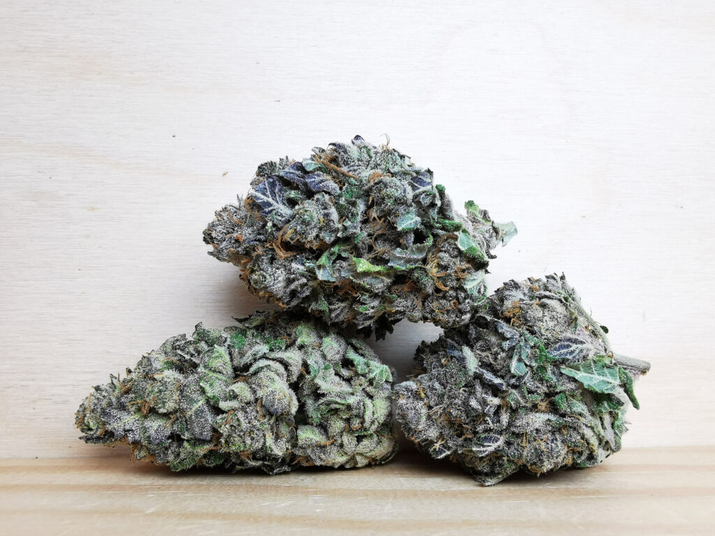 Buy Weed Online Canada Best Dispensary Winnipeg Manitoba, BuyWeed247