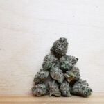 Bulk-Sale GV's AAAA Gello Shotz Smalls