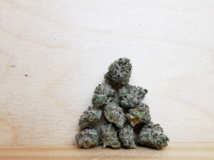 Best Sativa Weed Strains in Canada 2021, BuyWeed247