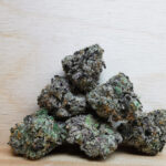 Green Valley's AAAA Rainbow Driver Med.