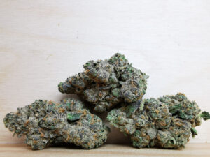 Best Sativa Weed Strains in Canada 2021, BuyWeed247