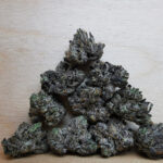 Green Valley's AAAA++ El Chapo Smalls