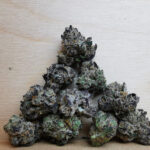 Bulk Sale GV's AAAA Banana D Lime Smalls