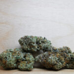 Green Valley's AAAA+ Gummy Buns