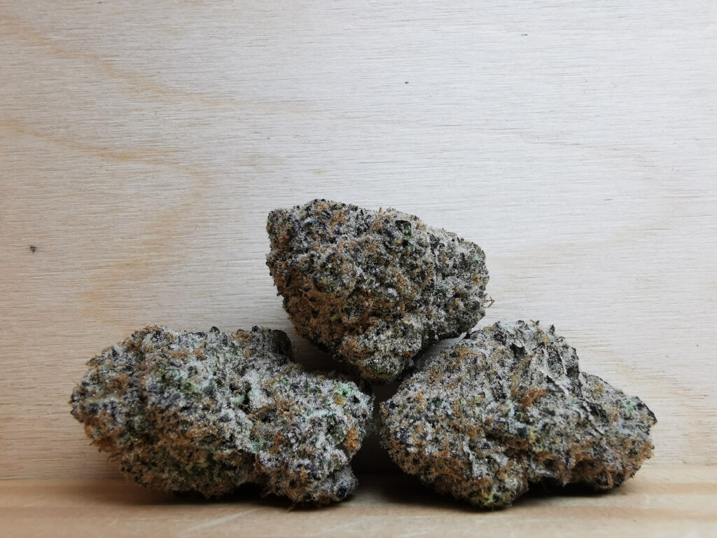 Buy Weed Online Canada Best Dispensary Portage la Prairie Manitoba, BuyWeed247