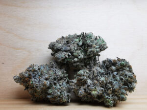 Top 6 Weed Strains in Canada 2021, BuyWeed247