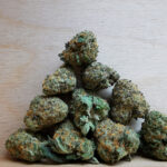 AAAA Northern Lights Smalls