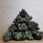 Green Valley's AAAA+ Pink Tuna Smalls