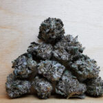 Bulk-Sale GV's AAAA+ Vanilla Kush Smalls