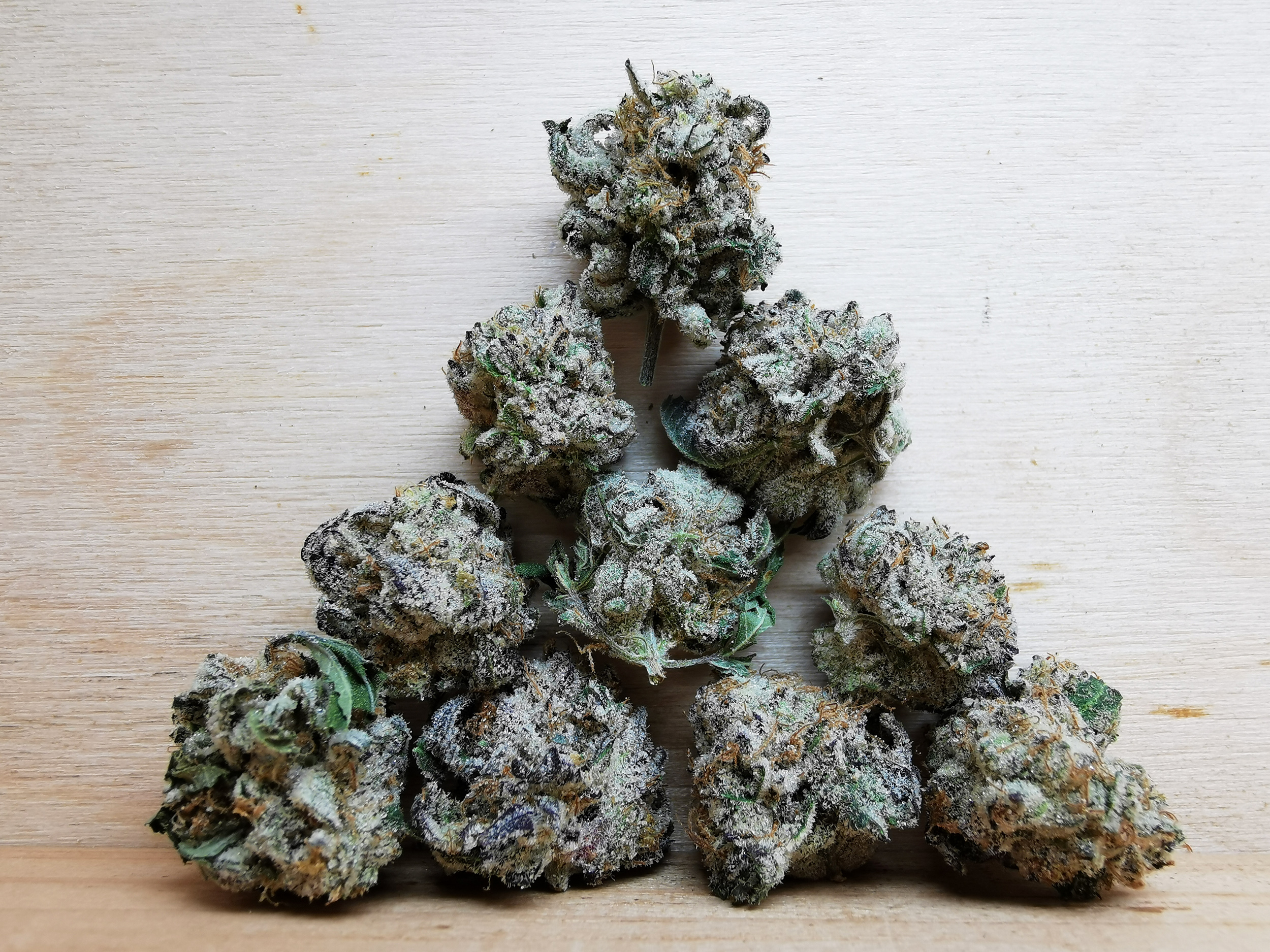 IMG_20260630_145047 Bulk Sale GV's AAAA+ White Widow Smalls - Image 1