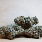 AAA+ Sour Romulan