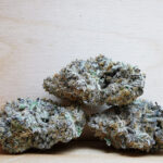 Green Valley's AAAA+ Gelato Mimosa