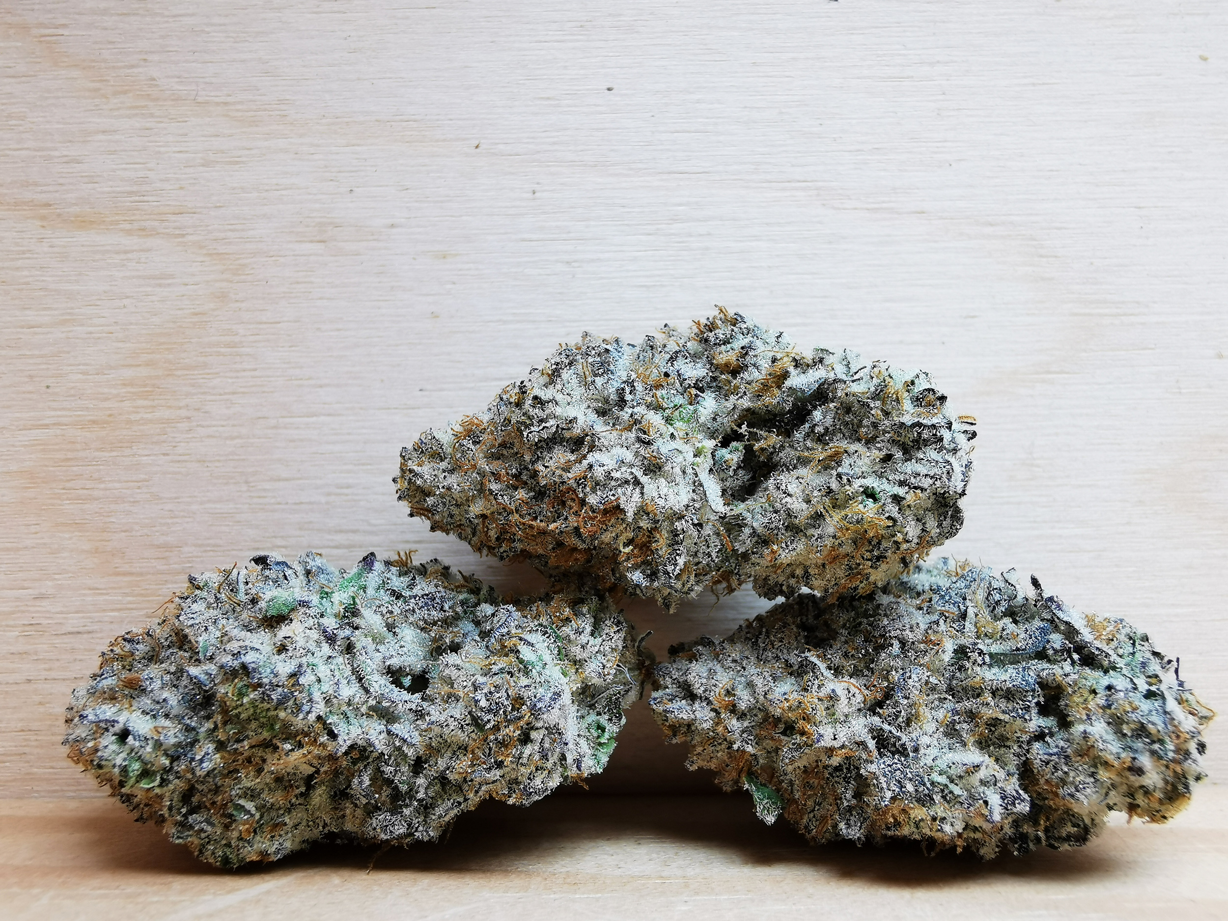 IMG_20260602_151119 Green Valley's AAAA+ Gelato Mimosa - Image 1