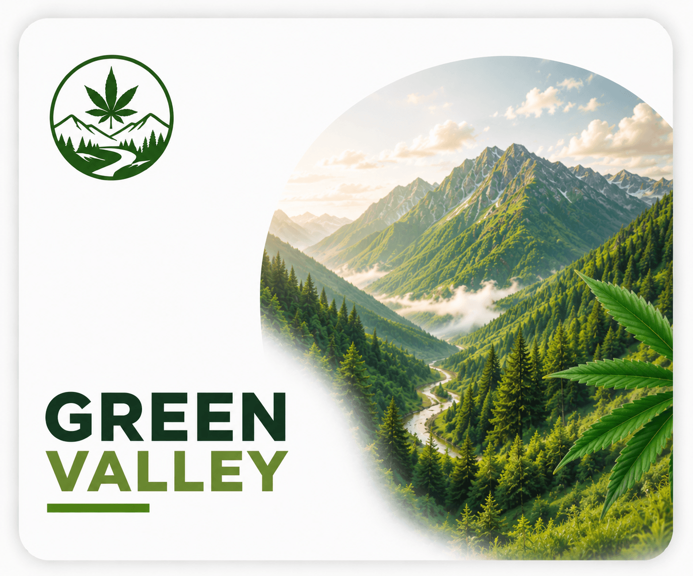 Buy Weed Online, BuyWeed247