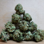 Bulk-Sale GV's AAAA Pineapple Fruz Smalls
