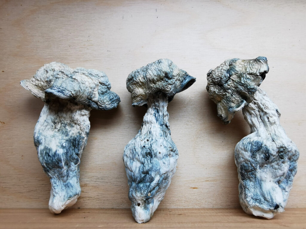 Buy Weed Online, BuyWeed247
