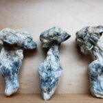 Mountain Resort's SV13 Magic Mushroom