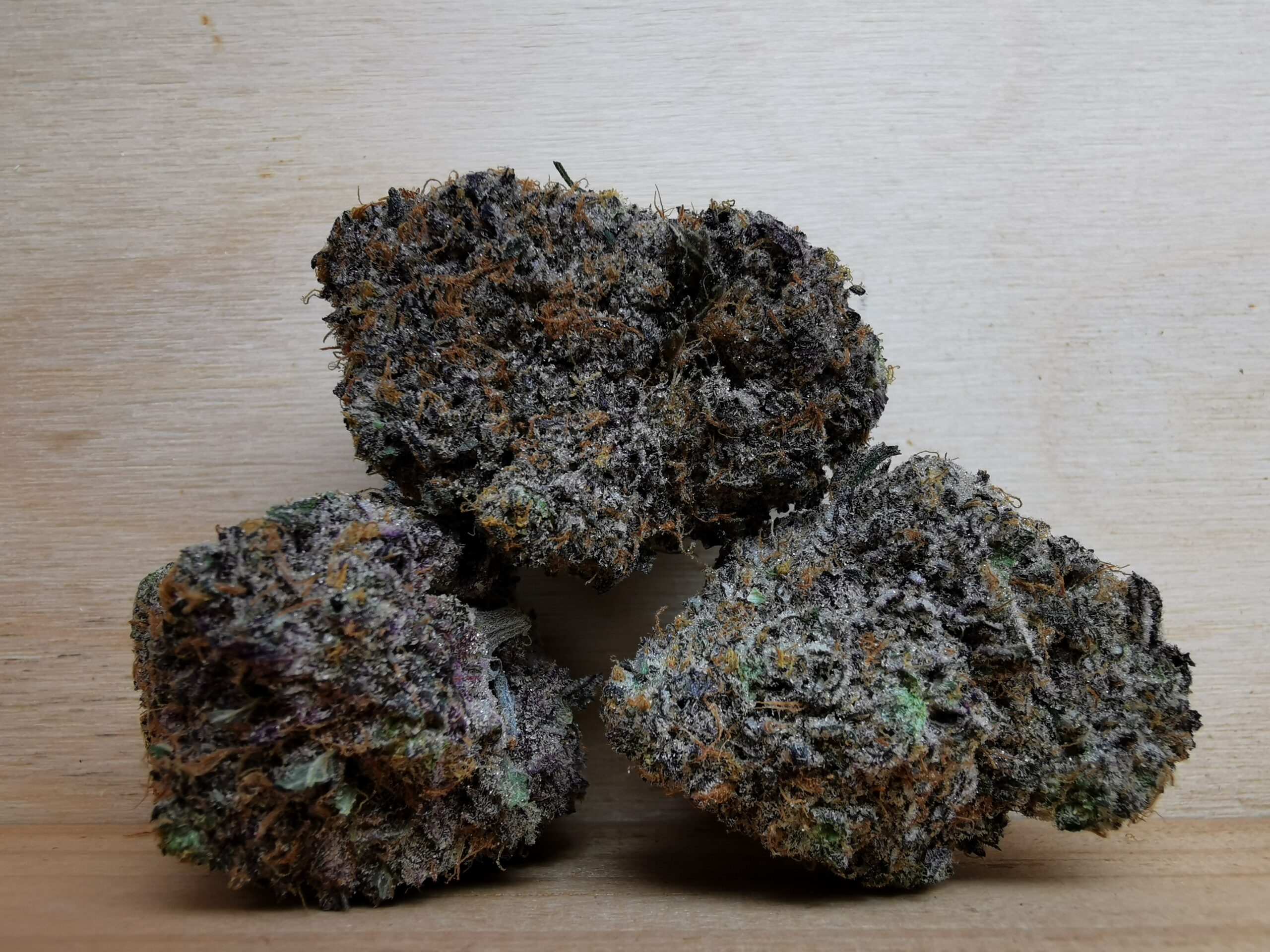 IMG_20260717_142633 Green Valley's AAAA+ Blue Sunset Sherbet - Image 1