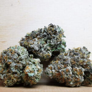 Bulk-Sale GV's AAAA+ Jack Herer