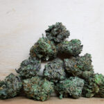 Bulk-Sale GV's AAAA Bubba OG Smalls