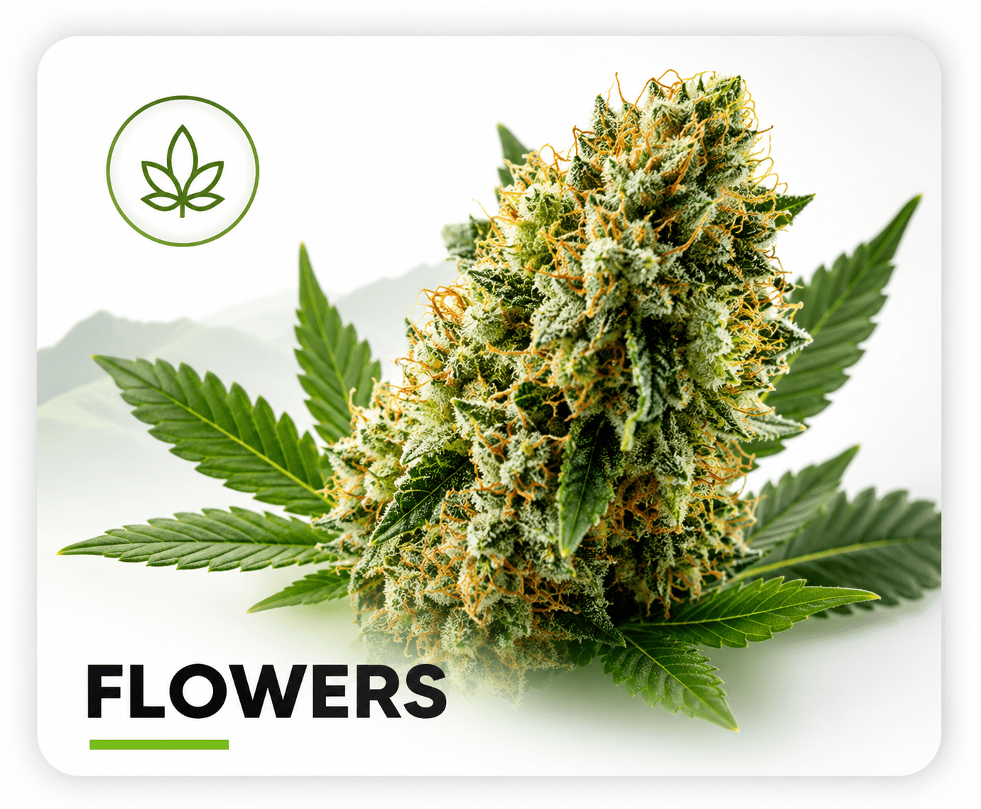 Buy Weed Online, BuyWeed247