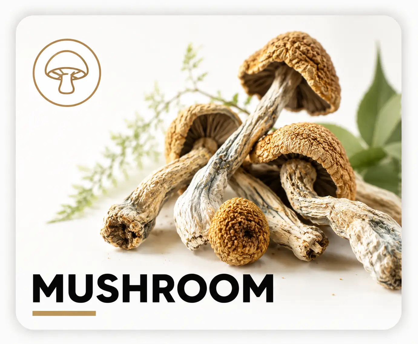 Buy Weed Online, BuyWeed247