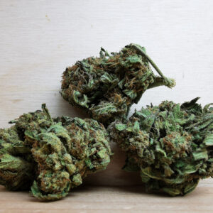 Mint Chocolate Chip