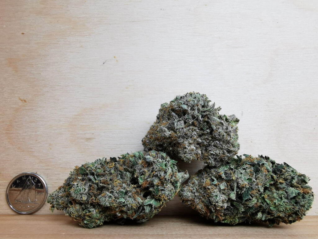 Buy Weed Online, BuyWeed247