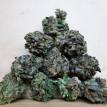 Bulk-Sale AAAA Gas Chamber Smalls
