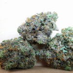AAAA Pink Rockstar
