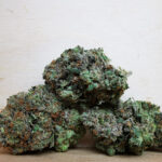 AAA+ Sour Dill