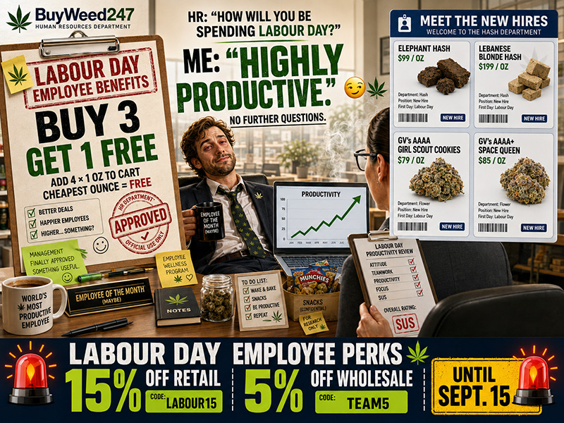 Buy Weed Online, BuyWeed247