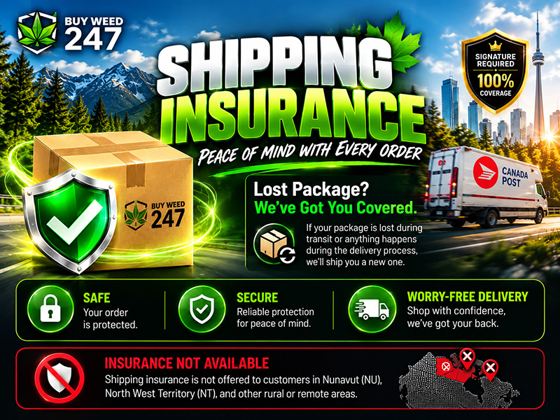 Buy Weed Online, BuyWeed247