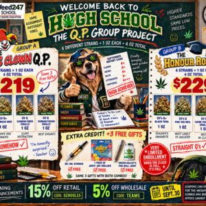 The Q.P. Group Project Combo