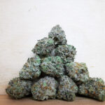 Green Valley's AAAA Strawberry Shortcake Smalls