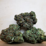 AAA+ Violator Kush