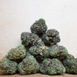 Green Valley's AAAA Sunset Sherbert Med.