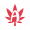 Buy Weed Online, BuyWeed247